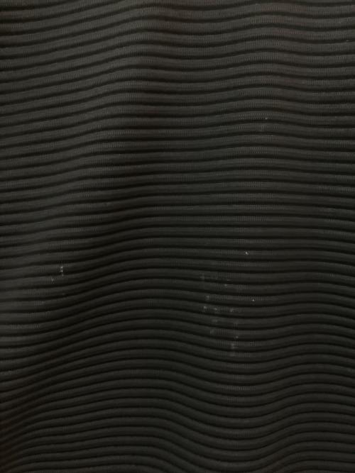 HOMME PLISSE ISSEY MIYAKE（オム プリッセ イッセイ ミヤケ）HOMME PLISSE ISSEY MIYAKE (オム プリッセ イッセイ ミヤケ) HORIZON PLEATS 2プリーツカットソー ブラック サイズ:-の古着・服飾アイテム