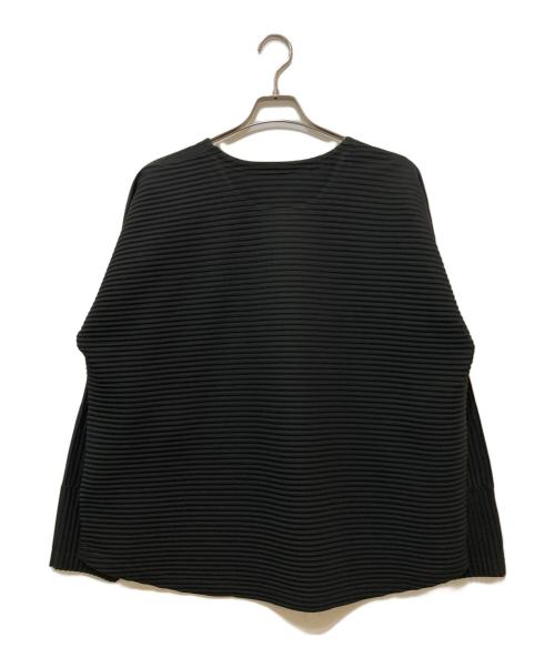 HOMME PLISSE ISSEY MIYAKE（オム プリッセ イッセイ ミヤケ）HOMME PLISSE ISSEY MIYAKE (オム プリッセ イッセイ ミヤケ) HORIZON PLEATS 2プリーツカットソー ブラック サイズ:-の古着・服飾アイテム