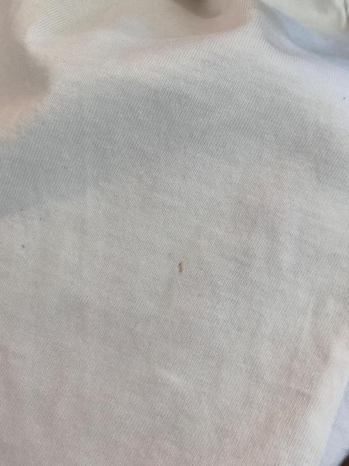 OAMC（オーエーエムシー）OAMC (オーエーエムシー) CHAPEAU Tシャツ　OAMN707367 ホワイト サイズ:SMALLの古着・服飾アイテム