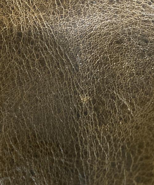 aniary（アニアリ）aniary (アニアリ) レザーハンドバッグ ブラウンの古着・服飾アイテム