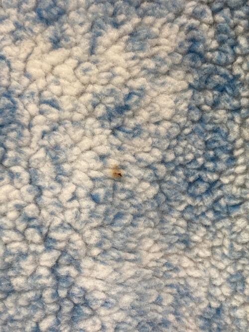 THE NORTH FACE（ザ ノース フェイス）THE NORTH FACE (ザ ノース フェイス) Supreme (シュプリーム) Bleached Denim Print Fleece Jacket ブルー サイズ:Mの古着・服飾アイテム