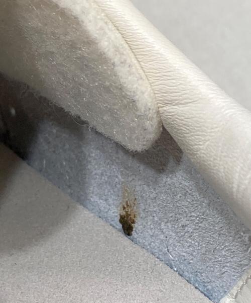 adidas（アディダス）adidas (アディダス) スーパースター 82 ホワイト サイズ:26.5の古着・服飾アイテム