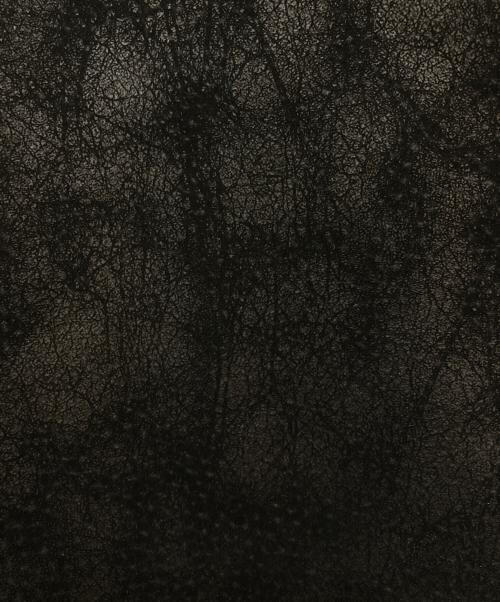 PERVERZE（パーバーズ）PERVERZE (パーバーズ) エコレザージャケット 0121030004 ブラウン サイズ:Freeの古着・服飾アイテム