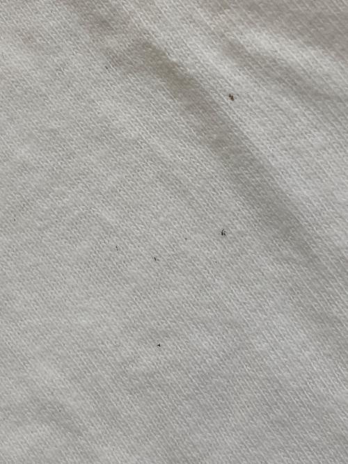 SUPREME（シュプリーム）SUPREME (シュプリーム) The Velvet Underground & Nico Tee ホワイト サイズ:Lの古着・服飾アイテム