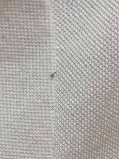 POLO RALPH LAUREN（ポロ・ラルフローレン）POLO RALPH LAUREN (ポロ・ラルフローレン) Ron Herman (ロンハーマン) 別注Polo Shirt ホワイト サイズ:XLの古着・服飾アイテム