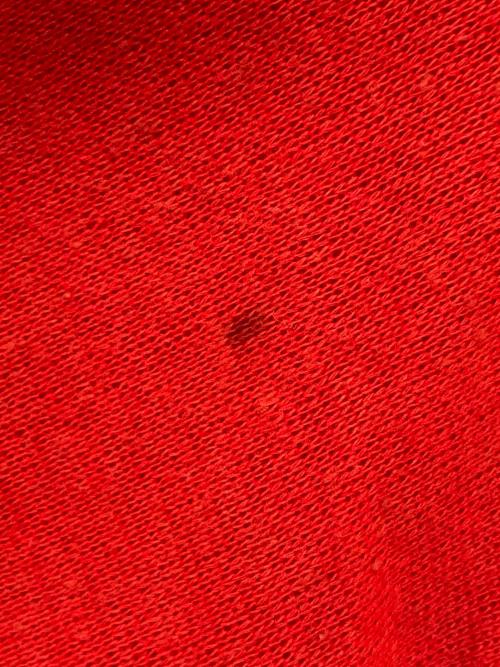 FLrobinson（ＦＬロビンソン）FLrobinson (ＦＬロビンソン) キャラクターラグランスウェット レッド サイズ:Sの古着・服飾アイテム