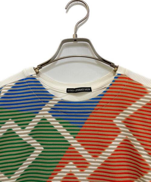 ISSEY MIYAKE MEN（イッセイミヤケメン）ISSEY MIYAKE MEN (イッセイミヤケメン) エンボスプリーツボーダーTシャツ　ME83JK143 マルチカラー サイズ:2の古着・服飾アイテム