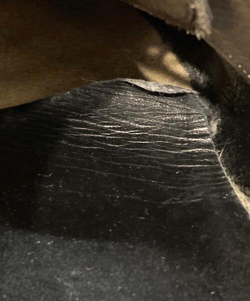 foot the coacher（フットザコーチャー）foot the coacher (フットザコーチャー) プレーントゥシューズ ブラック サイズ:10の古着・服飾アイテム