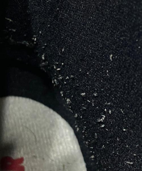 NIKE（ナイキ）NIKE (ナイキ) Air Jordan 1 High OG Lost & Found　DZ5485-612 レッド サイズ:26.5の古着・服飾アイテム