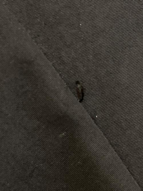 LACOSTE（ラコステ）LACOSTE (ラコステ) 撥水防風フードジャケット ブラック サイズ:Lの古着・服飾アイテム