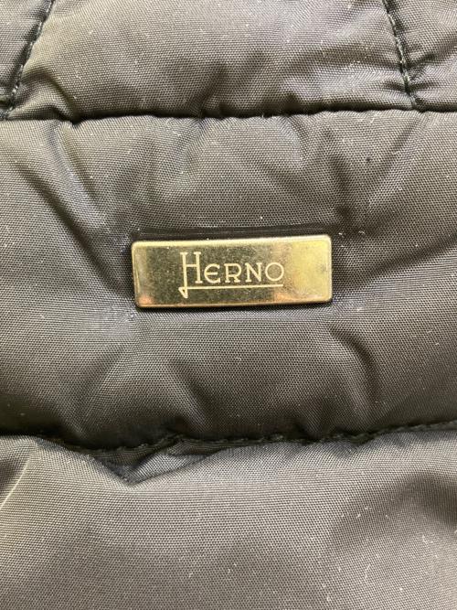 HERNO（ヘルノ）HERNO (ヘルノ) ポーラテックダウンコート　PI0194U-12004-9200 ネイビー サイズ:46の古着・服飾アイテム