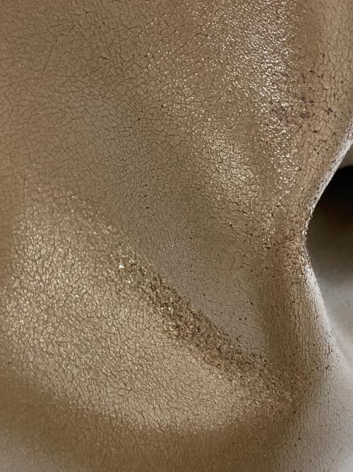 LONGCHAMP（ロンシャン）LONGCHAMP (ロンシャン) ロゾ トートバッグ ブラウンの古着・服飾アイテム