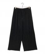 HOMME PLISSE ISSEY MIYAKEオム プリッセ イッセイ ミヤケ）の古着「MONTHLY COLOR SEPTEMBER」｜ブラック