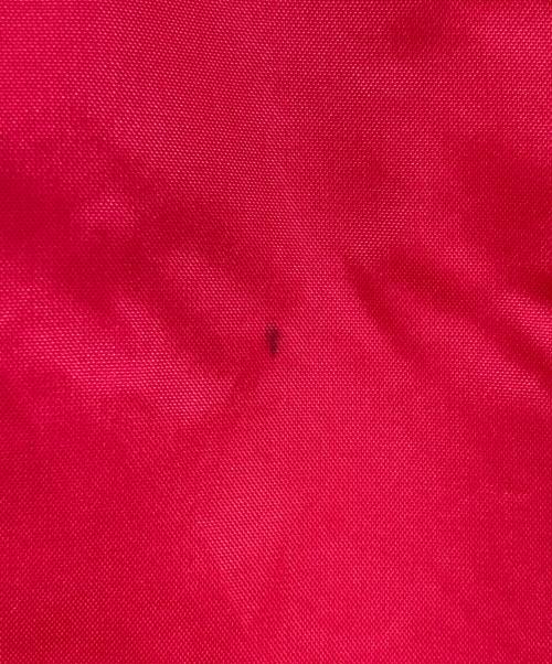 is-ness（イズネス）is-ness (イズネス) COACH JACKET TECHNO レッド サイズ:Mの古着・服飾アイテム