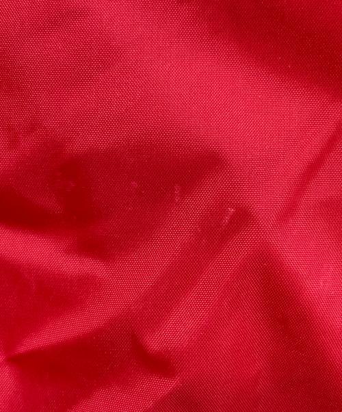 is-ness（イズネス）is-ness (イズネス) COACH JACKET TECHNO レッド サイズ:Mの古着・服飾アイテム