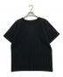 HOMME PLISSE ISSEY MIYAKE（オム プリッセ イッセイ ミヤケ）の古着「プリーツカットソー　HP55JK420」｜ブラック