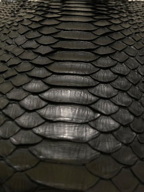 BOTTEGA VENETA（ボッテガベネタ）BOTTEGA VENETA (ボッテガベネタ) パイソン ボストンバッグ ブラックの古着・服飾アイテム