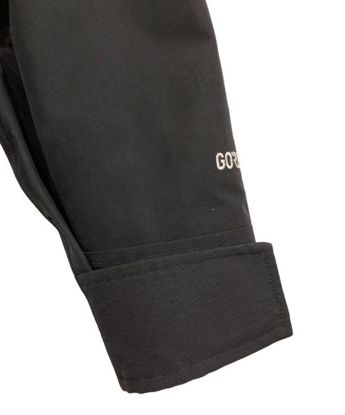 THE NORTH FACE（ザ ノース フェイス）THE NORTH FACE (ザ ノース フェイス) 1990 MOUNTAIN JACKET GTX　NF0A3XCO ブラック サイズ:Lの古着・服飾アイテム