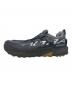 and wander (アンドワンダー) ALTRA TIMP 5 BOA グレー サイズ:44：15000円