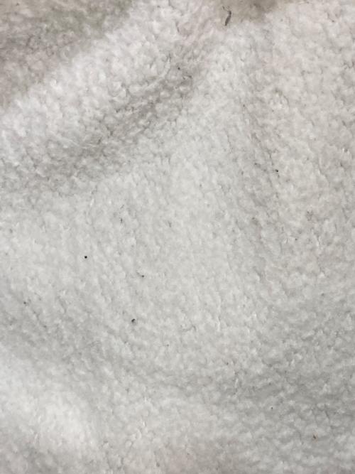 Champion REVERSE WEAVE（チャンピオン リバース ウィーブ）Champion REVERSE WEAVE (チャンピオン リバース ウィーブ) プリントスウェット グレー サイズ:LARGEの古着・服飾アイテム