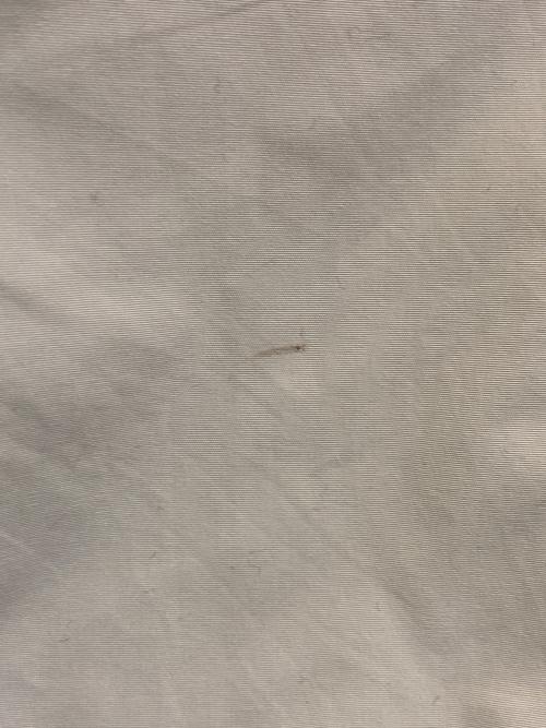 Barbour（バブアー）Barbour (バブアー) インターナショナルジャケット ベージュ サイズ:Sの古着・服飾アイテム