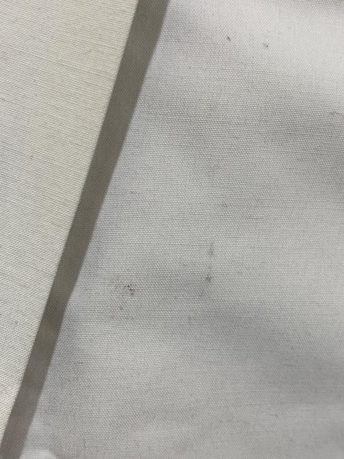 DESCENTE ALLTERRAIN（デザイント オルテライン）DESCENTE ALLTERRAIN (デザイント オルテライン) TRANSFORM DOWN COAT ホワイト サイズ:Mの古着・服飾アイテム