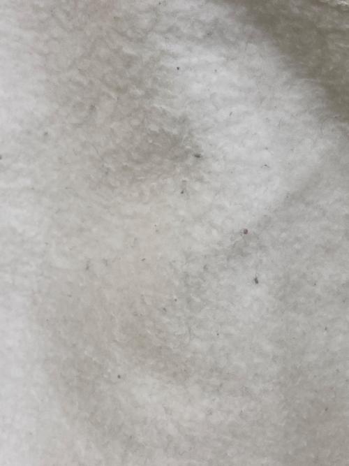 SUPREME（シュプリーム）SUPREME (シュプリーム) ANTIHERO (アンタイヒーロー) コラボパーカー ホワイト サイズ:XLargeの古着・服飾アイテム