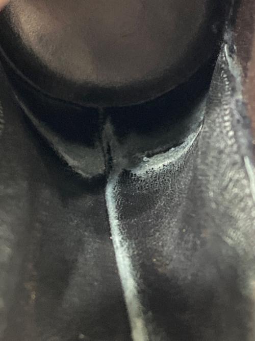 JOSEPH CHEANEY & SONS（ジョセフチーニー）JOSEPH CHEANEY & SONS (ジョセフチーニー) CHARLOTTE サイドゴアブーツ ブラック サイズ:4の古着・服飾アイテム