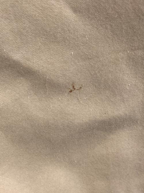 N'enuphar（ネニュファール）N'enuphar (ネニュファール) トレンチブルゾンコート ベージュ サイズ:サイズ表記なしの古着・服飾アイテム