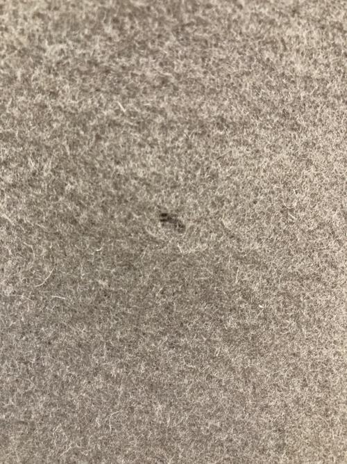 Spick and Span（スピック＆スパン）Spick and Span (スピック＆スパン) ハイスリットロングリバーコート ブラウン サイズ:38の古着・服飾アイテム