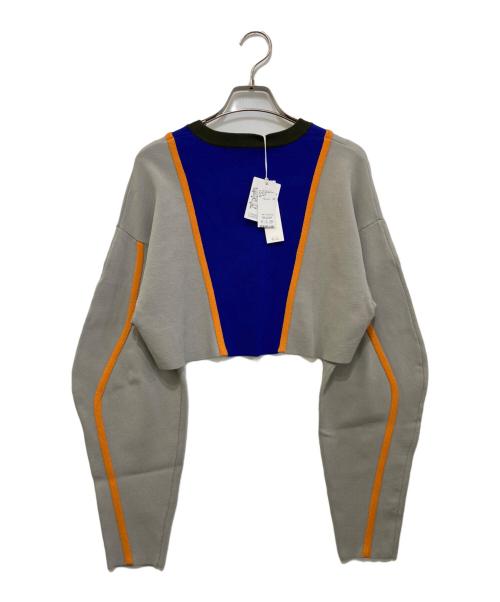 UN3D.（アンスリード）UN3D. (アンスリード) WAVE LINE SHORT KNIT　522512601301-01 グレー サイズ:F 未使用品の古着・服飾アイテム
