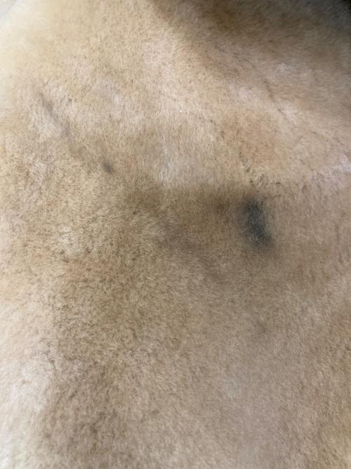 GIMO'S（ジモス）GIMO'S (ジモス) ムートンジャケット ブラウン サイズ:実寸参照の古着・服飾アイテム