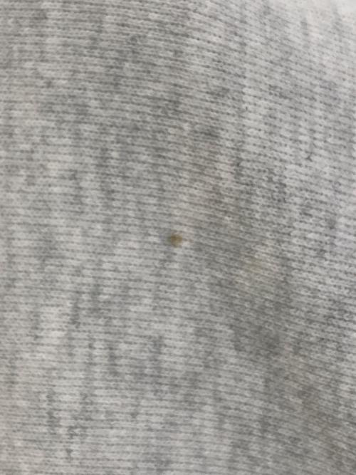 Champion REVERSE WEAVE（チャンピオン リバース ウィーブ）Champion REVERSE WEAVE (チャンピオン リバース ウィーブ) リバースウィーブスウェット グレー サイズ:XLARGEの古着・服飾アイテム