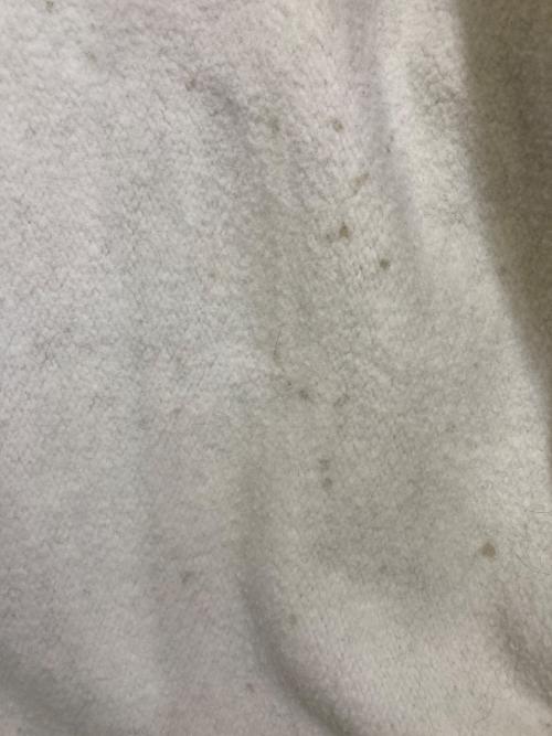 Champion REVERSE WEAVE（チャンピオン リバース ウィーブ）Champion REVERSE WEAVE (チャンピオン リバース ウィーブ) リバースウィーブスウェット グレー サイズ:XLARGEの古着・服飾アイテム