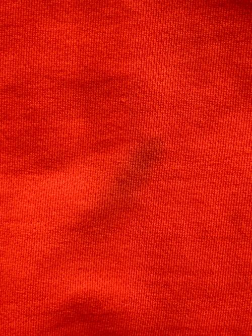 Champion（チャンピオン）Champion (チャンピオン) WTAPS (ダブルタップス) コラボプルオーバーパーカー　C8-Z110 オレンジ サイズ:LARGEの古着・服飾アイテム