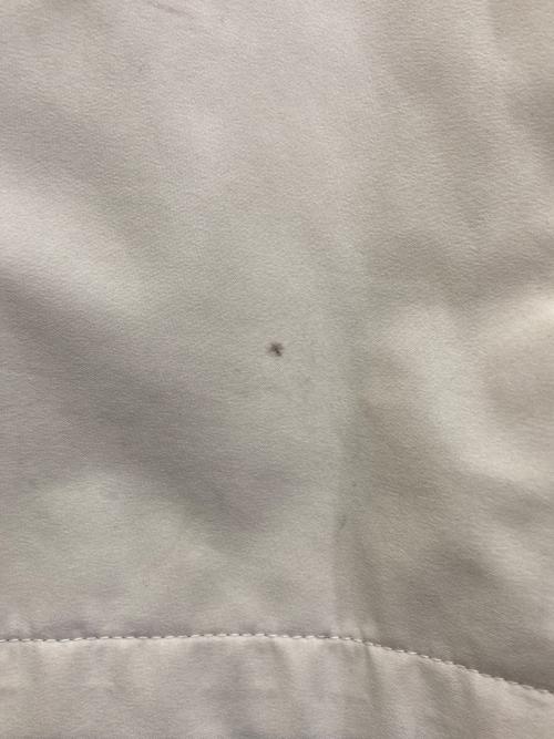 PRADA（プラダ）PRADA (プラダ) GORE-TEX ジップブルゾン　SGV84A ベージュ サイズ:46の古着・服飾アイテム