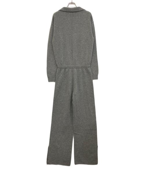 Rosarymoon（ロザリームーン）ROSARYMOON (ロザリームーン) V-neck Knit All-in-one グレー サイズ:REGULARの古着・服飾アイテム