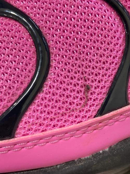 NIKE（ナイキ）NIKE (ナイキ) W AIR MAX PLUS SE PLAYFUL PINK/BLACK　HJ9743-601 ピンク サイズ:28の古着・服飾アイテム