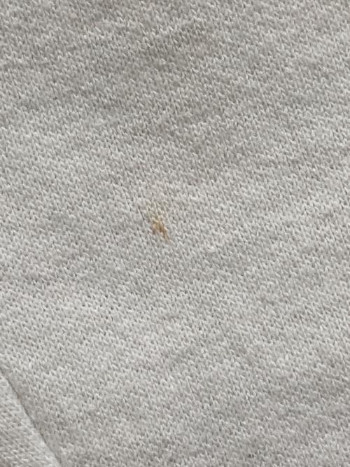 古着（フルギ）古着 (フルギ) The Little Rascals ヴィンテージスウェット ホワイト サイズ:不明(実寸をご参考下さい)の古着・服飾アイテム