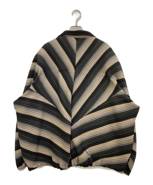 HOMME PLISSE ISSEY MIYAKE（オム プリッセ イッセイ ミヤケ）HOMME PLISSE ISSEY MIYAKE (オム プリッセ イッセイ ミヤケ) RB STRIPES 2 ブラック×グレー サイズ:2の古着・服飾アイテム