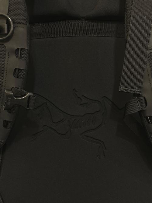 ARC'TERYX（アークテリクス）ARC'TERYX (アークテリクス) Arro 22 Backpack　6029-111318　 ブラックの古着・服飾アイテム