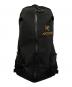 ARC'TERYX（アークテリクス）の古着「Arro 22 Backpack　6029-111318　」｜ブラック