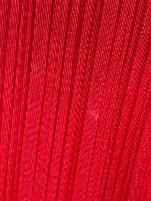 ISSEY MIYAKE（イッセイミヤケ）ISSEY MIYAKE (イッセイミヤケ) プリーツハイネックカットソ―　PP39-JK604 レッド サイズ:Sの古着・服飾アイテム