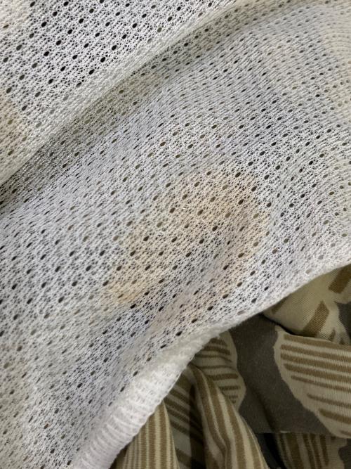 Patagonia（パタゴニア）Patagonia (パタゴニア) バギーズショーツ ベージュ サイズ:Sの古着・服飾アイテム