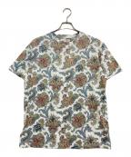 ETROエトロ）の古着「ペイズリー柄Tシャツ　251-MRMA0002-AK584」｜ホワイト