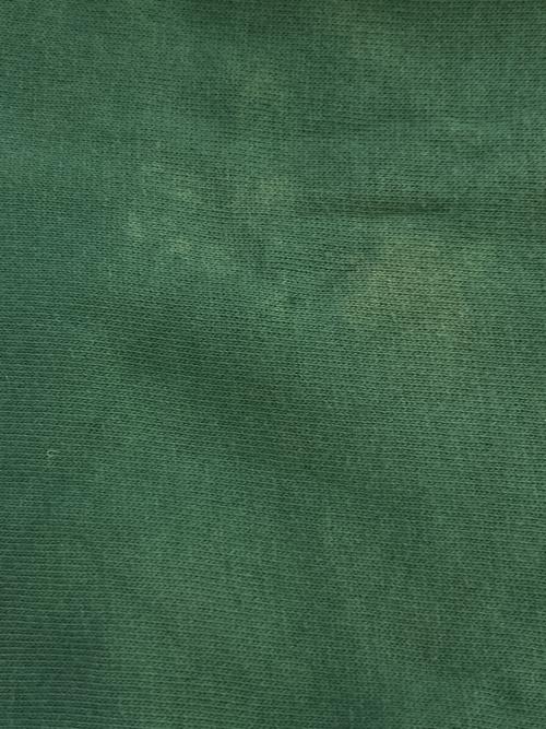 WAREHOUSE（ウエアハウス）WAREHOUSE (ウエアハウス) ツートンハーフジップスウェット グリーン サイズ:40の古着・服飾アイテム