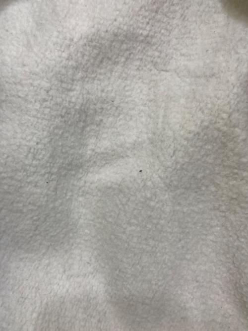 Champion REVERSE WEAVE（チャンピオン リバース ウィーブ）Champion REVERSE WEAVE (チャンピオン リバース ウィーブ) BEAMS (ビームス) スウェットカーディガン　C8-A035 グレー サイズ:XLの古着・服飾アイテム