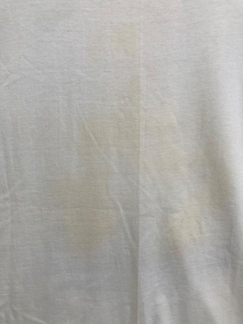 Hanes（ヘインズ）Hanes (ヘインズ) DISCOVERY OF AMERICA プリントカットソー ホワイト サイズ:LARGEの古着・服飾アイテム