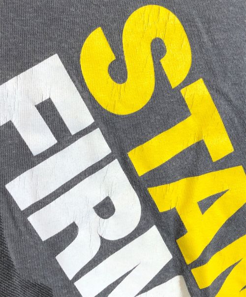stussy（ステューシー）stussy (ステューシー) 【古着】Stand Firm Dino Tee/スタンドファームダイノTシャツ グレー サイズ:SIZE Mの古着・服飾アイテム