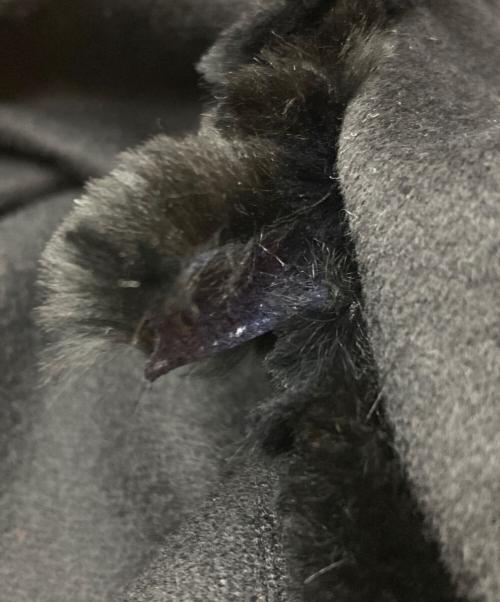 FENDI（フェンディ）FENDI (フェンディ) カシミヤケープ ブラック サイズ:ORの古着・服飾アイテム